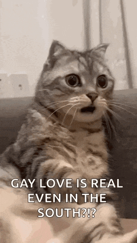 I Love You So Much Cute GIF