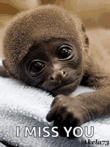 I Miss You GIF