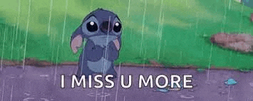 I Miss You Meme