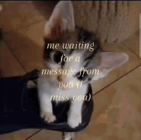 I Miss You GIF