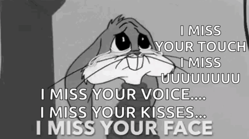 I Miss Your Face Crying GIF