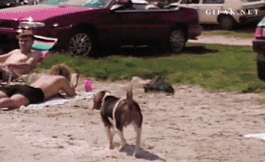 I Need This GIF