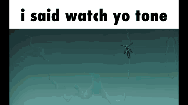 I Said Watch Your Tone I Said Watch Yo Tone GIF