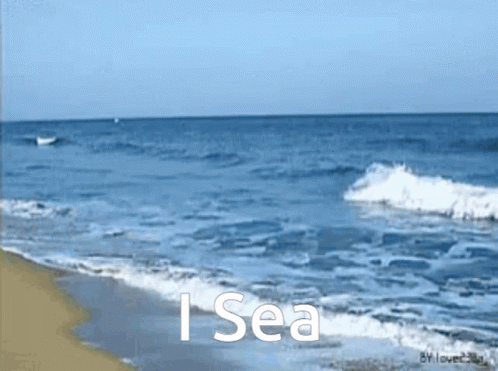 I See I Sea GIF