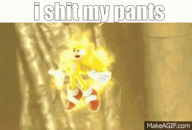 I Shit Myself Sonic Unleashed Sonic Unleashed I Shit Myself GIF