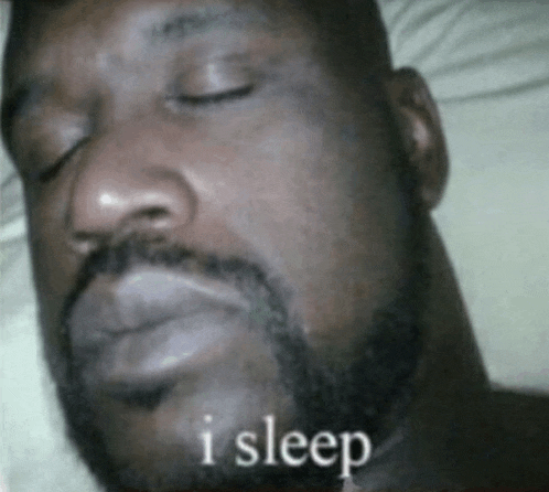 I Sleep Neonlable Rymahates666 Meme