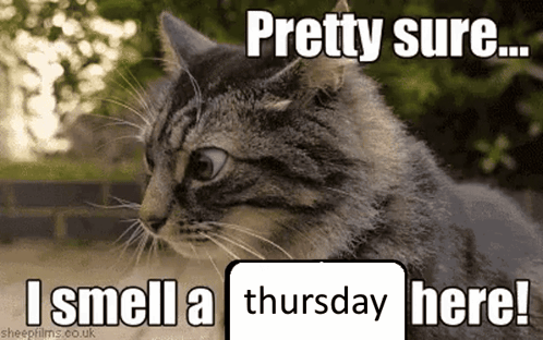 I Smell A Thursday I Smell A Monday Here GIF
