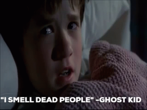 I Smell Dead People Ghost Kid GIF