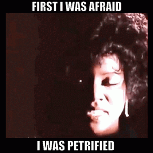 I Will Survive Gloria Gaynor GIF. This 498 x 498 animated GIF is part of our i will survive collection. Related themes include disco. Created by sorandumb…