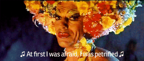 I Will Survive Priscilla Queen Of The Desert GIF. This 498 x 213 animated GIF is part of our i will survive collection. Created by torwin87. View the…
