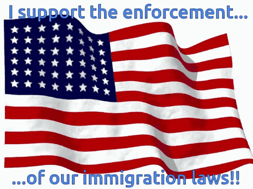 Ice Enforcement GIF