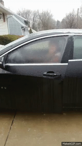 Ice Heres GIF