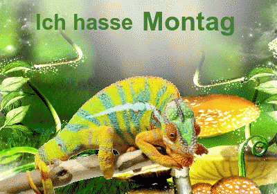 Ich Hasse Montag GIF