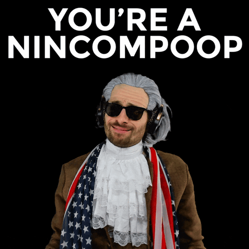 Idiot Bad Word GIF