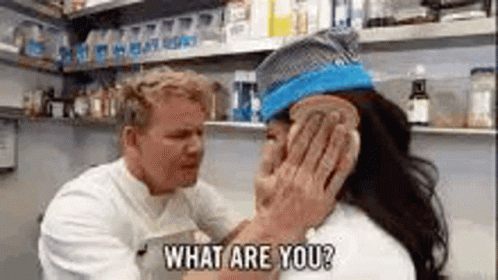 Idiot Sandwich GIF