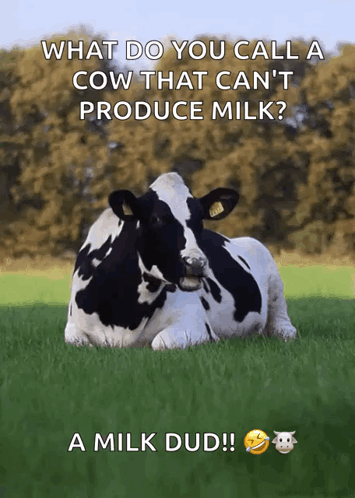 Idontcare Cow GIF