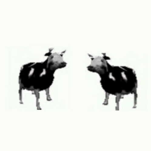 If You Dance Ill Dance GIF
