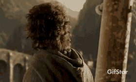 Ihor Frodo GIF