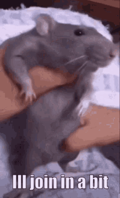 Ill Join In A Bit Ill Join Soon GIF
