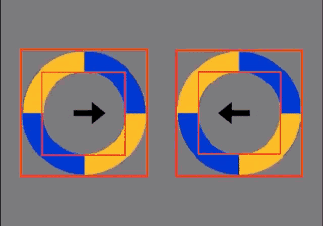 Illusion GIF