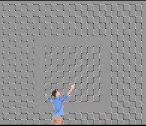 Illusion Optical Illusion Meme
