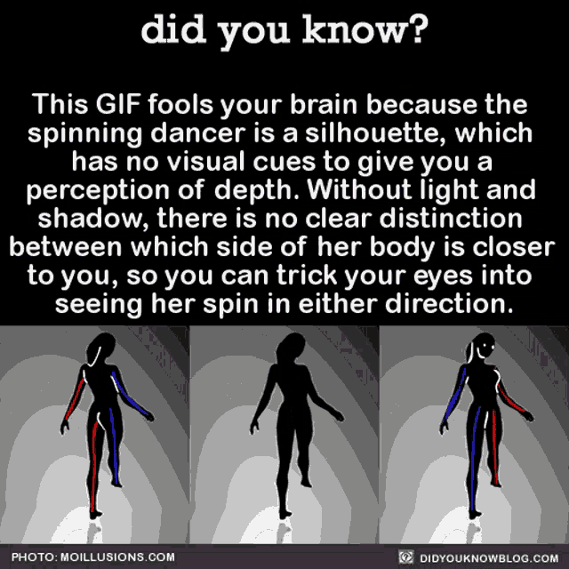 Illusion Trick GIF