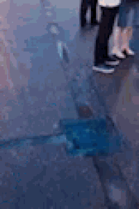 Ilu Wow GIF