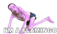 Im A Flamingo Ricky Berwick Sticker