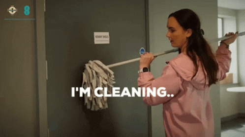 Im Cleaning Diona Doherty GIF