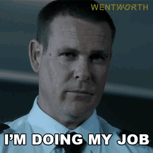 Im Doing My Job Fletch GIF