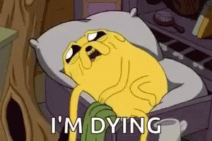 Im Dying Jake GIF