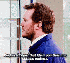 I'M Fine Everything Is Pointless GIF