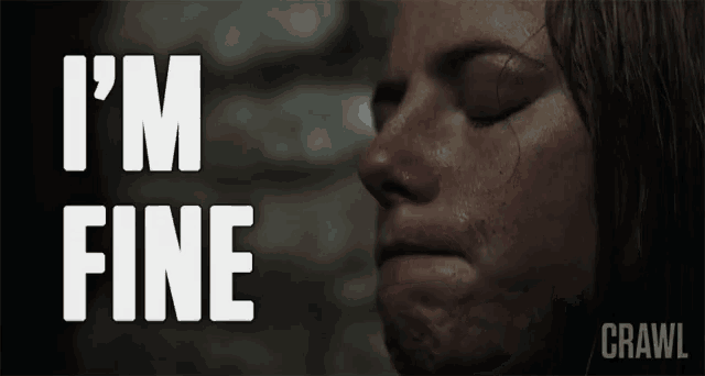 Im Fine Its Okay GIF