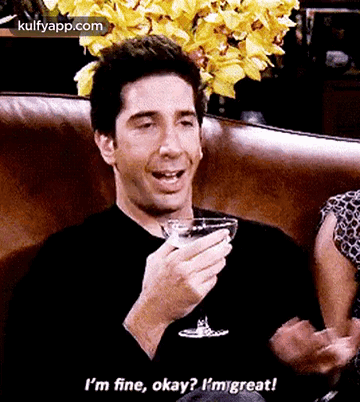 I'M Fine, Okay? Imgreat!.Gif GIF. This 360 x 402 animated GIF is part of our ross im fine collection. Related themes include alcohol, face, flower. Created…