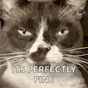 Im Good Nah Im Good GIF