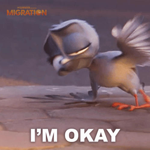 I'M Okay Pigeon GIF
