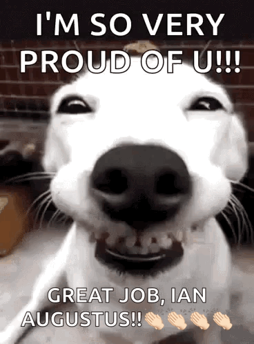 Im So Proud Of You Artie J Smile GIF. This 368 x 498 animated GIF is part of our lustige freitags bilder collection. Related themes include happy, smile…