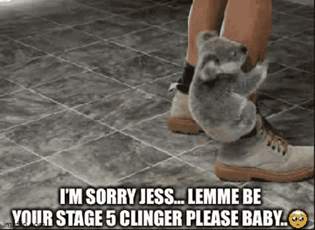Im Sorry GIF