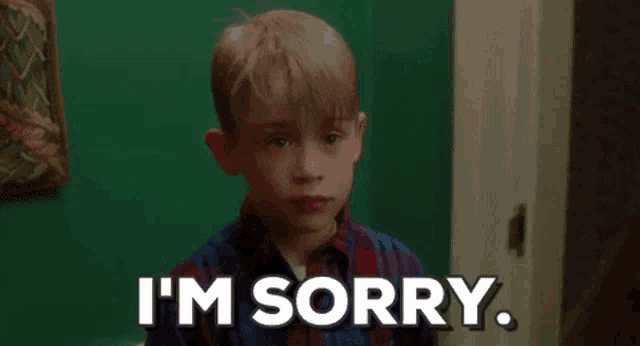 Im Sorry Home Alone GIF
