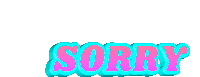 Im Sorry Sorry Sticker