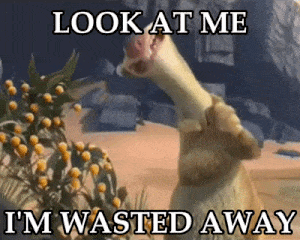 I'M Wasted Away Fat GIF