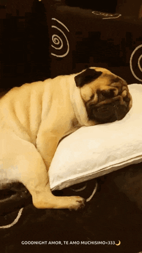 In Love Tired GIF