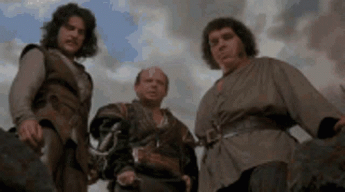 Inconceivable Princess GIF. This 498 x 278 animated GIF is part of our i do not think that word means what you think it means collection. Related themes…