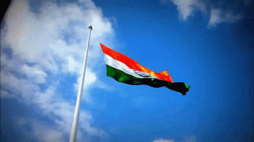 India Flag India Country GIF
