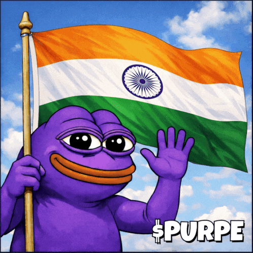India Flag Indian Vibes GIF