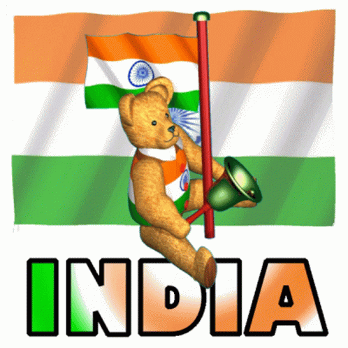 India India Flag GIF