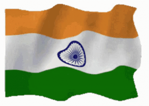 India Indian Flag GIF