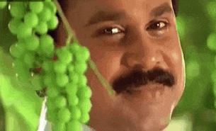 Indian Man Grape GIF. This 305 x 185 animated GIF is part of our indian head bob collection. Related themes include indiana jones, nod, nodding. Created by…