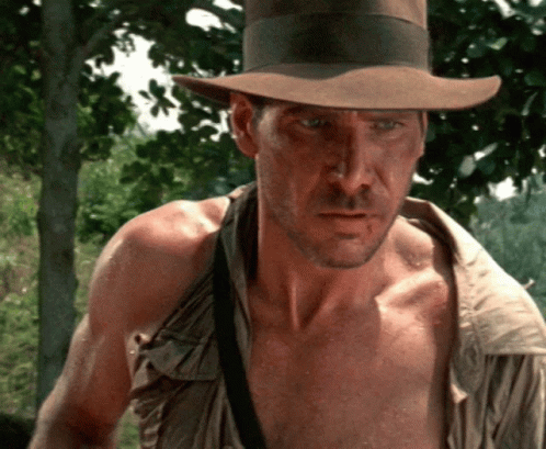 Indiana Jones Smiling GIF