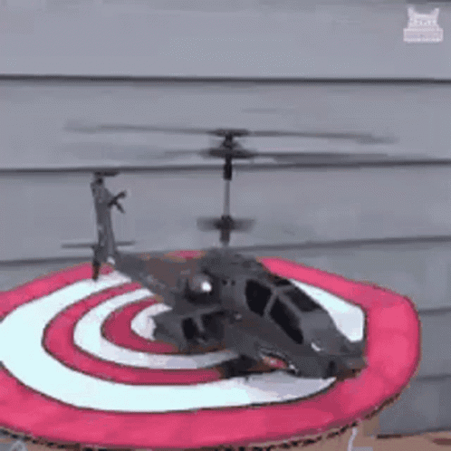 Inefablejuly Dog With A Helicopter Station On His Head GIF